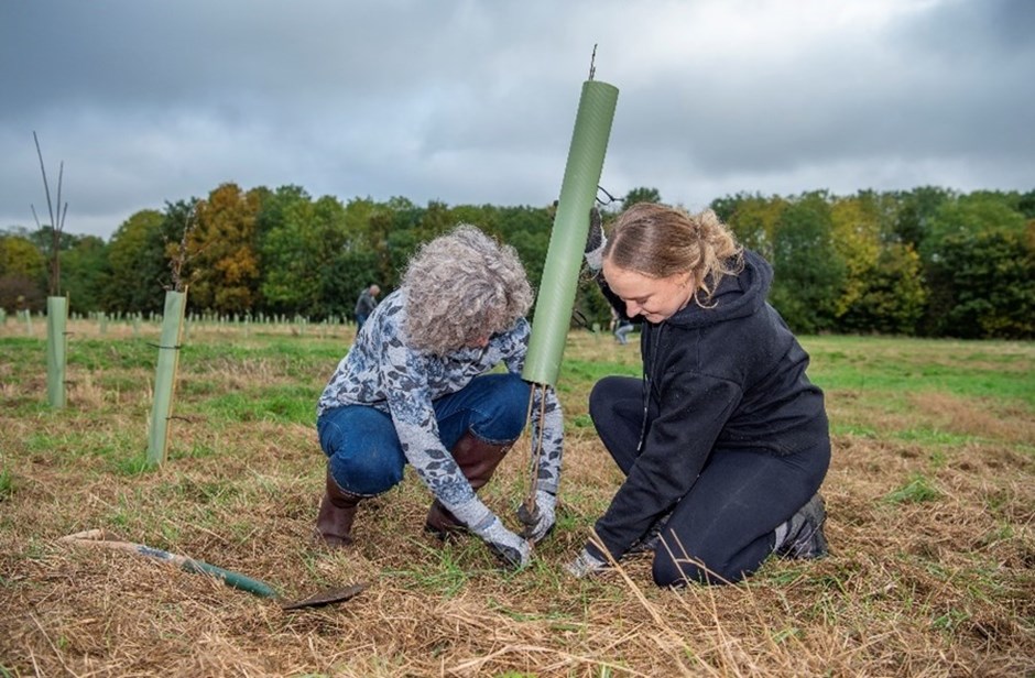 Two female volunteers planting a tree in a open space