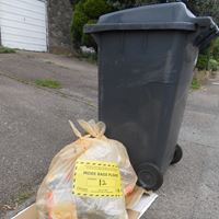 Black bin and orange bag recycling