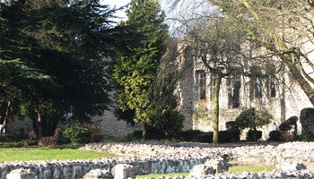 Abbey Park ruins