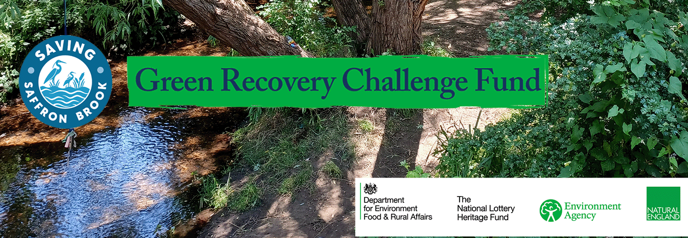 Green Recovery Challenge Fund Banner (1)
