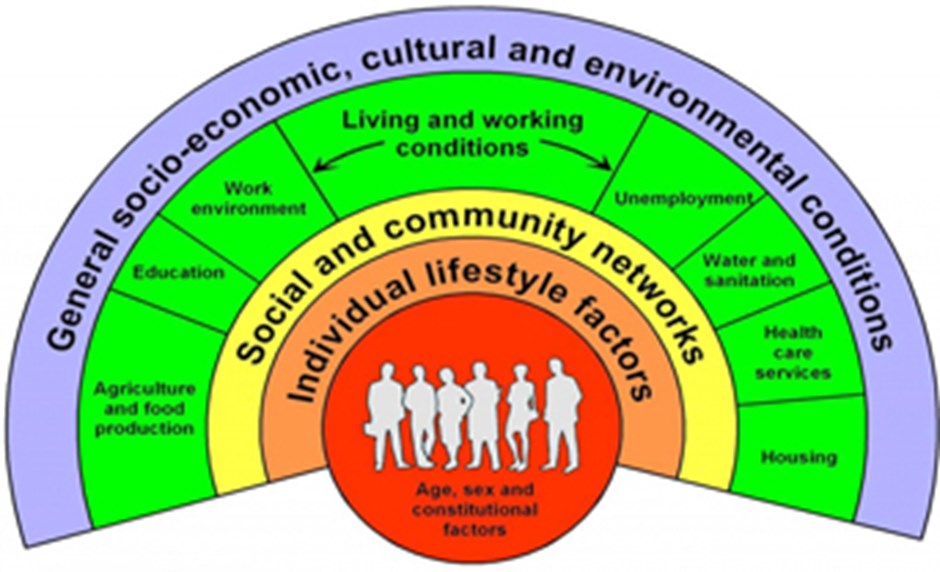 General socio-economic, cultural and environmental conditions graph