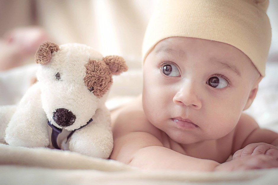 Baby with cuddly toy