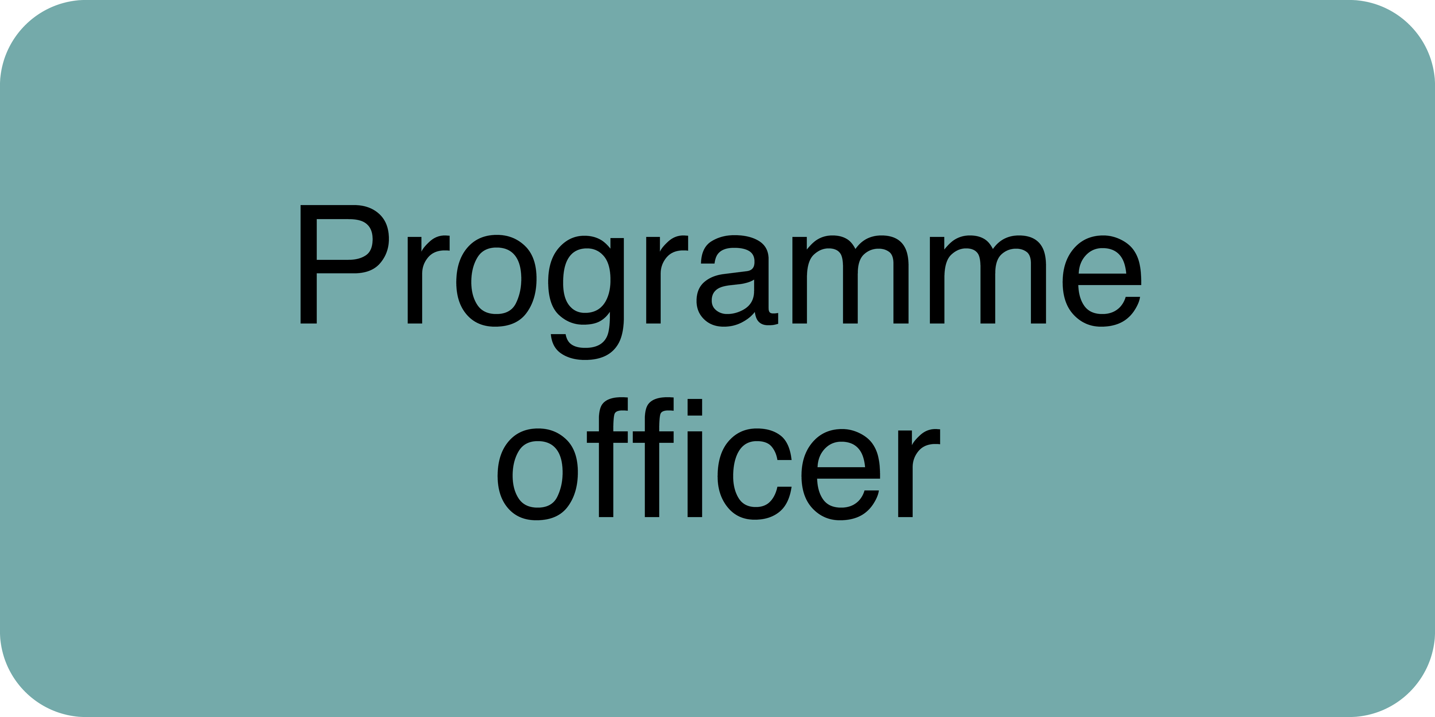 Programme officer