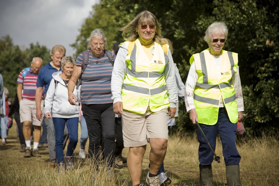 Group of walkers on a sunny day