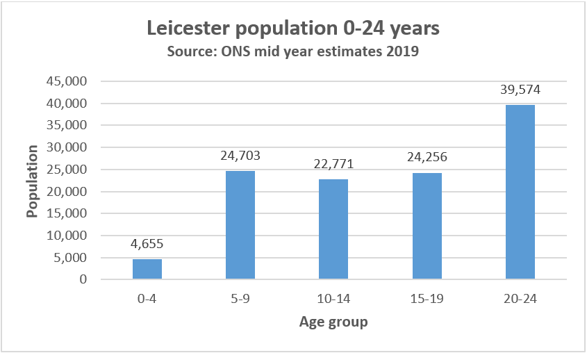 The chart below shows the number of children and young people in each age group