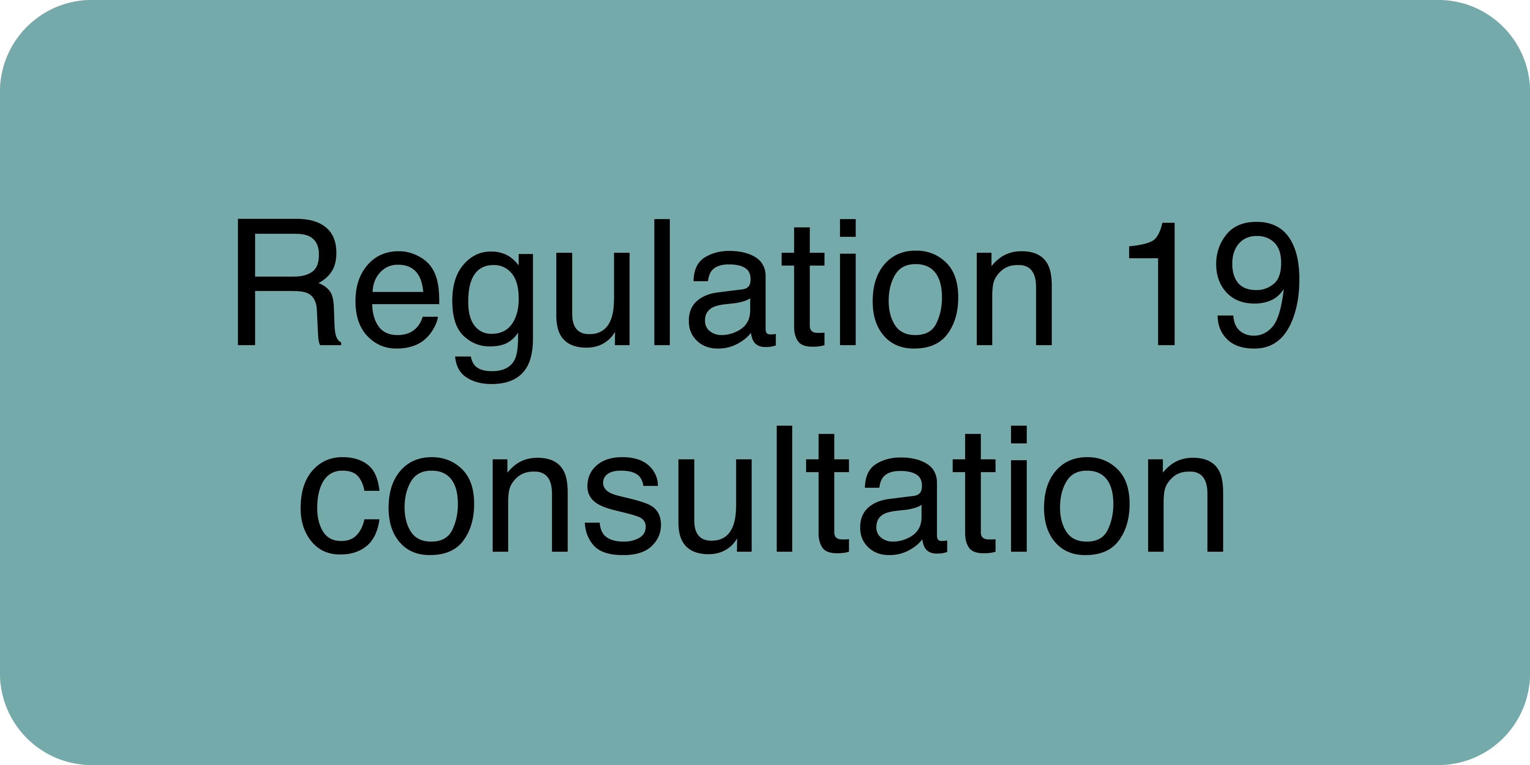 Regulation 19 consultation