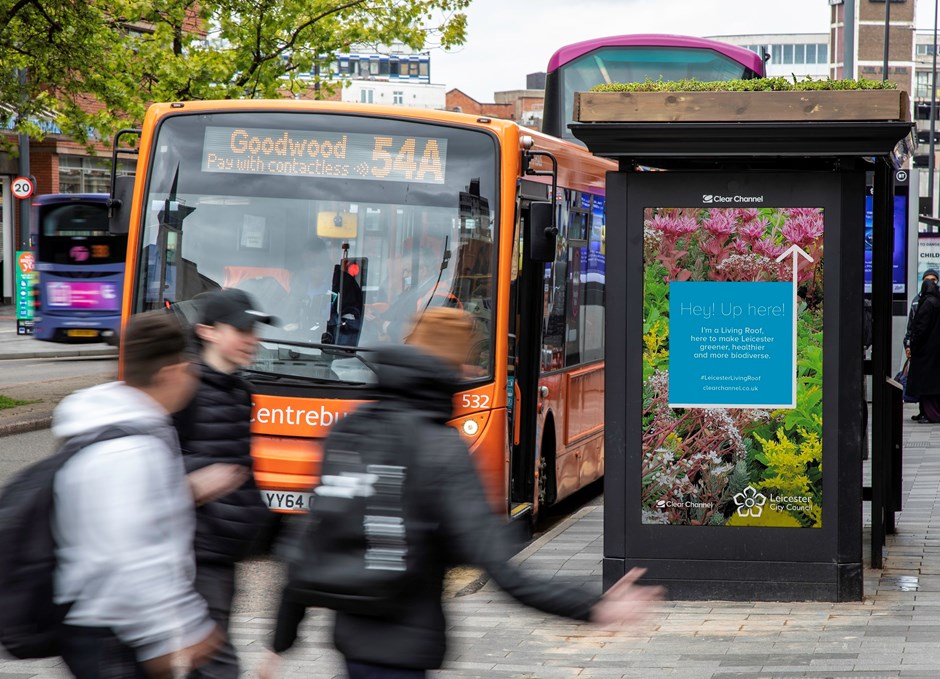Leicester living roof on bus shelter