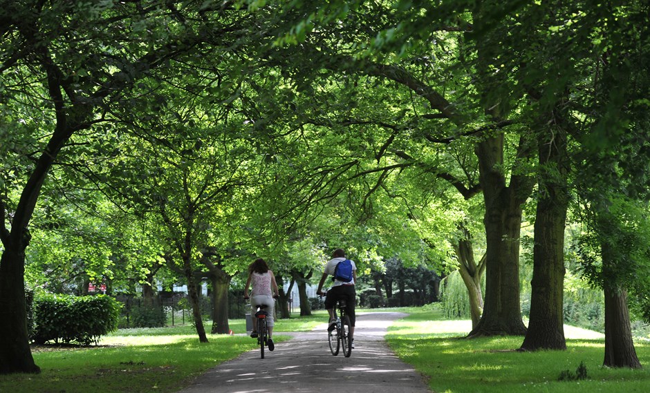 People cycling in a park