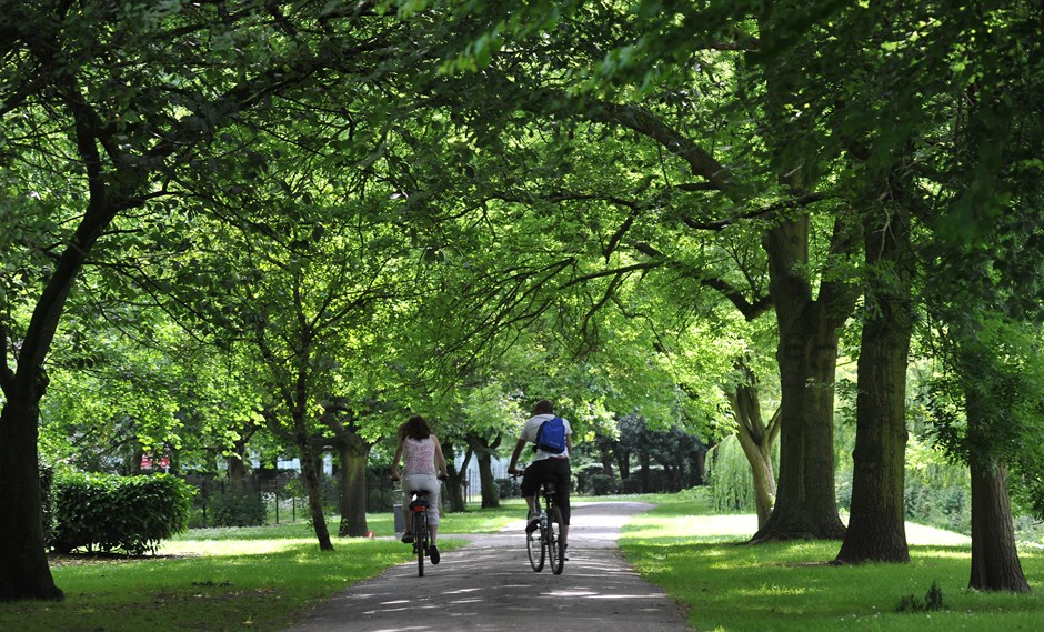 People cycling in a park