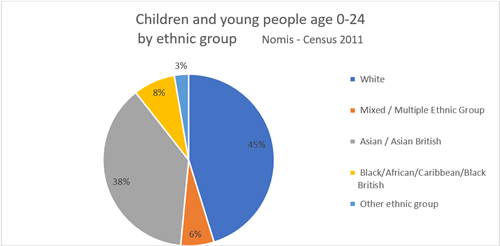 Children and young people age 0 to 24 by ethnic group (Census 2011)